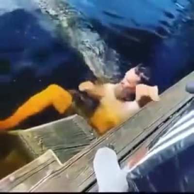 Swim with crocodiles. What did you think would happen?