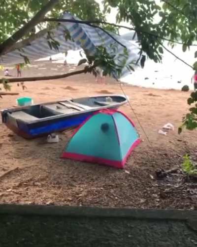 Great day for the beach