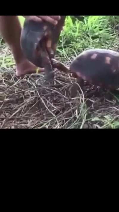 No wonder they&rsquo;re so slow