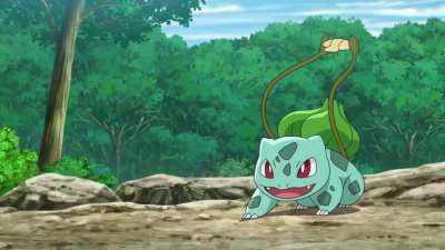 Ash/Satoshi's old Pok&eacute;mon team up to train his current team. How wholesome