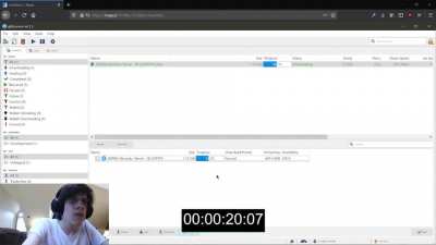 "noo torrents are too slow and troublesome" nyaa ANY% TORRENT SPEEDRUN 00:34 [WORLD RECORD]