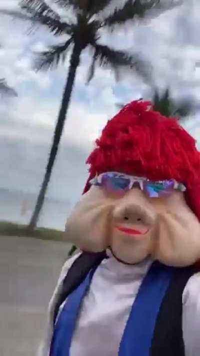 I don't even know what to call this