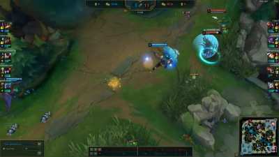 Dream Braum