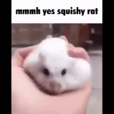 A rrat