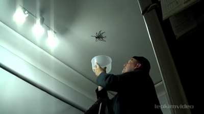 the NOPE on the ceiling