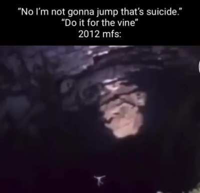 Vine>TikTok