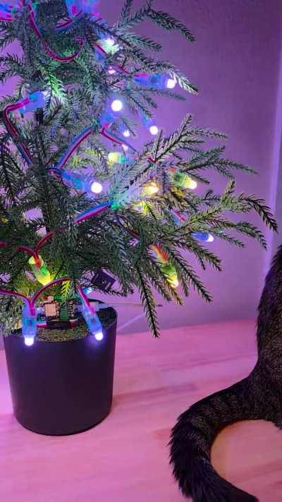 Diabetic Glucose Monitoring Christmas Tree