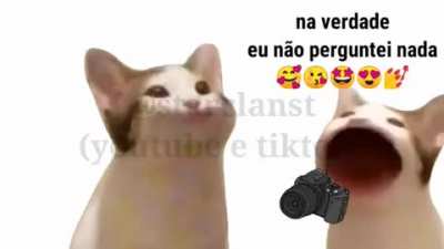 Oporra