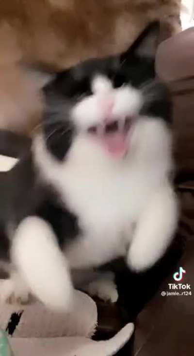 no pictures please &amp;gt;:(