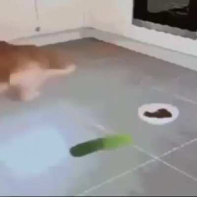 Me when