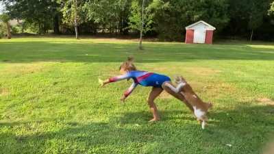 Sending kitten into the sky