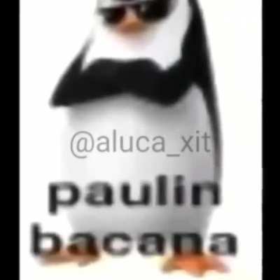 Paulin bacana (cr&eacute;dito ao mlk do video)