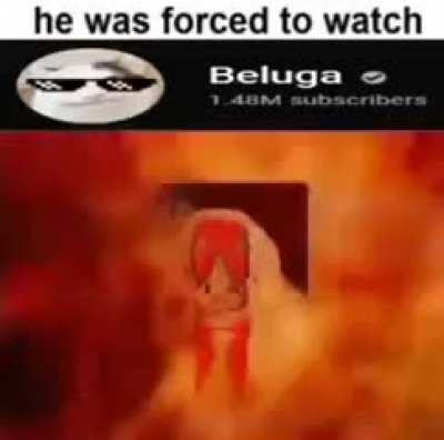 B*luga 🤢