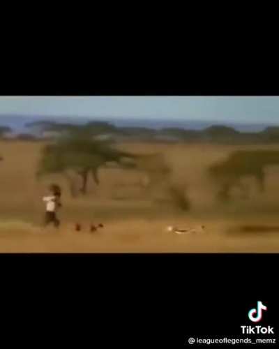 Speed