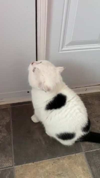 A scratchy compilation.