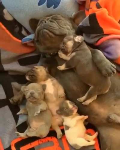Cutest things I&rsquo;ve ever seen!