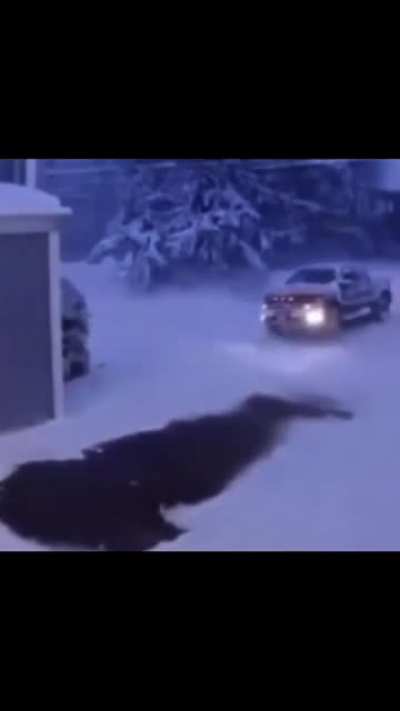 sno