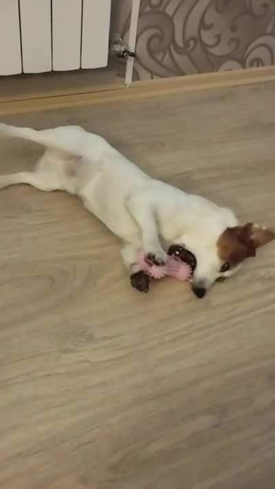 His name is Joy)