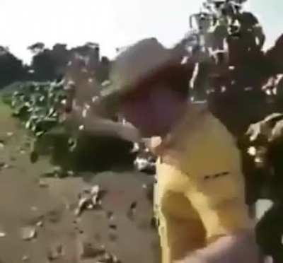 Desculpa adm, eu tenho fam&iacute;lia, manda o mamaco parar de me seguir, eu fa&ccedil;o qualquer coisa 😭😭😭😭