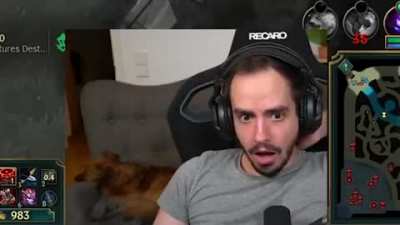 ADC in Preseason in a nutshell