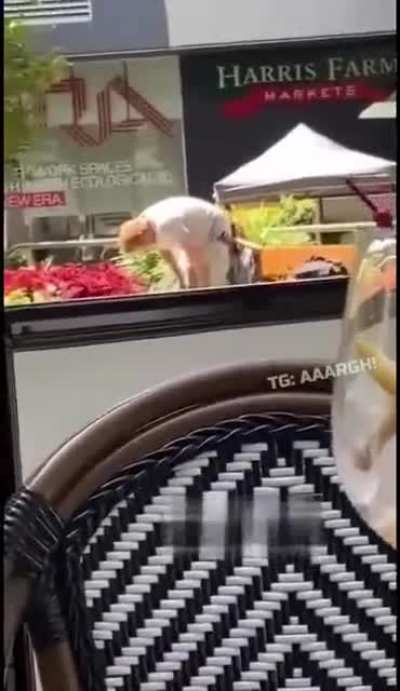 Some good old public ass licking.....NSFW
