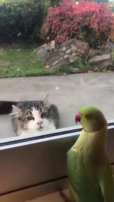 Maybe maybe maybe