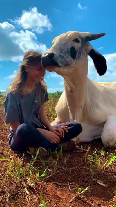 "Good human"