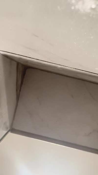 Weird Noise from Tile Shower
