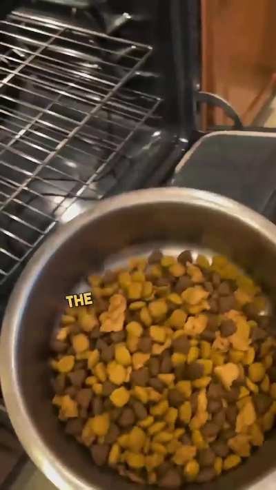 Doggo doesn't eat raw food 