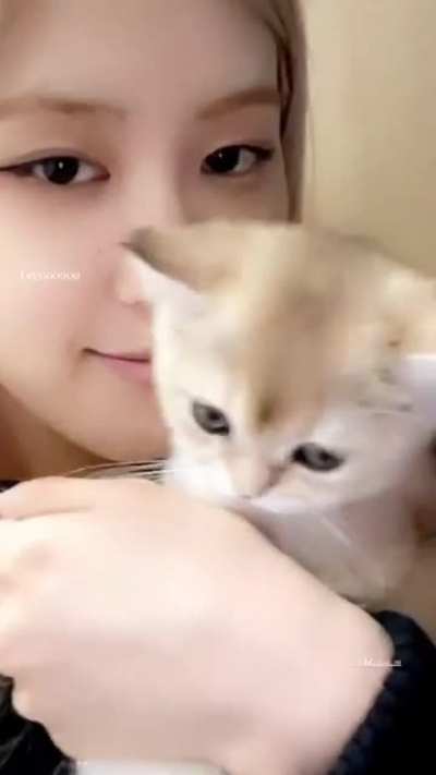 210225 Ros&eacute; IG Story Update