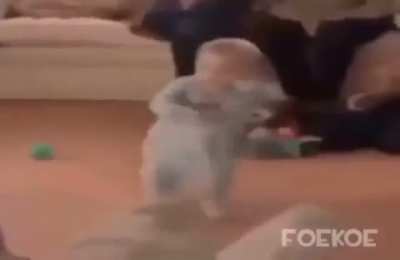 Şunu izleye durun newe bakıp gelem