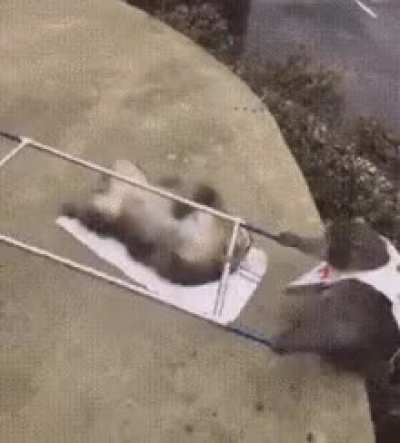 hmmm