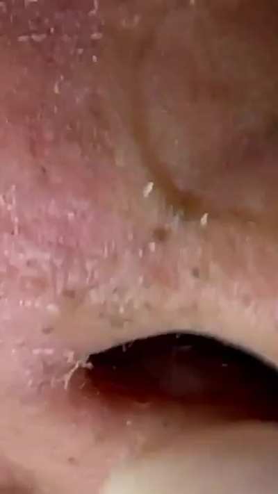 🤩🤤🤩🤤
