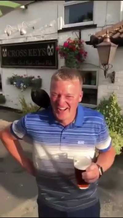 Bank holiday shenanigans with a crow
