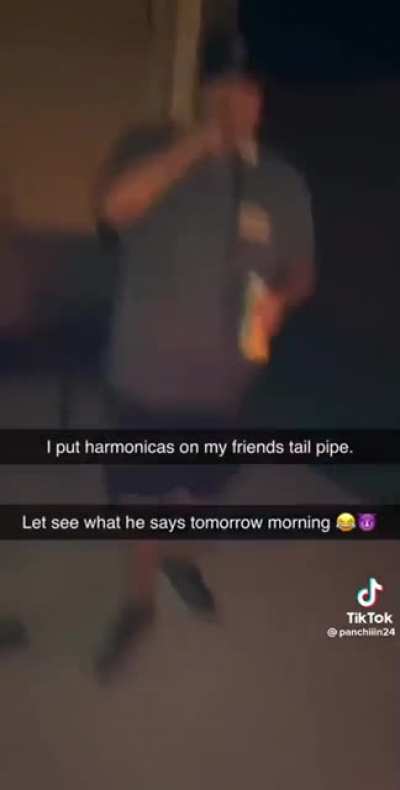 Harmonic Exhaust