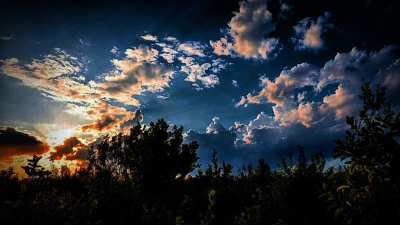 Sunrise in the Jungle | Relaxing Bird Sounds &amp;amp; Calm Music for Focus