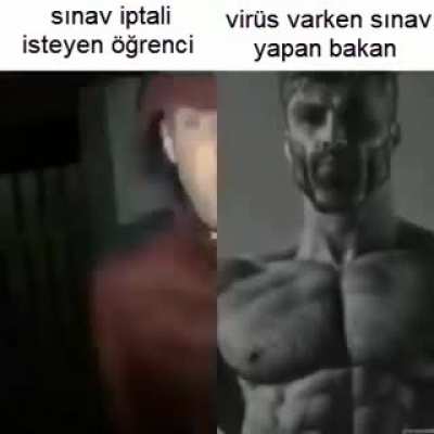Şaka maka sınava vir&uuml;s y&uuml;z&uuml;nden gelmeyenlere ne olacak aşırı merak ediyorum.
