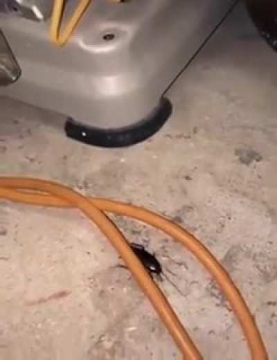 Hi little friend &amp;lt;3