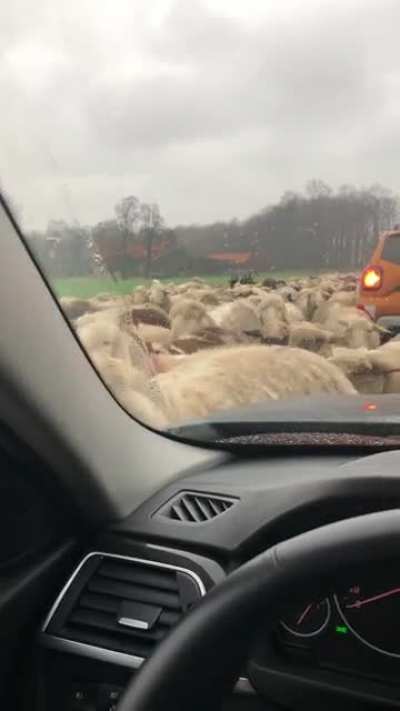 Meanwhile in Germany&hellip;