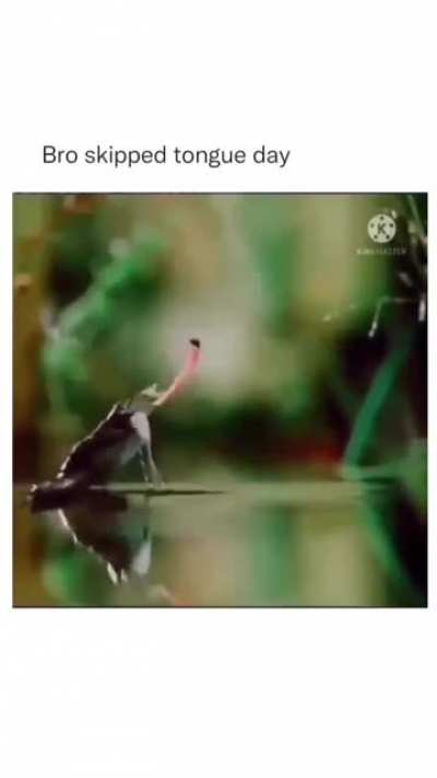 i guess he tried&hellip;