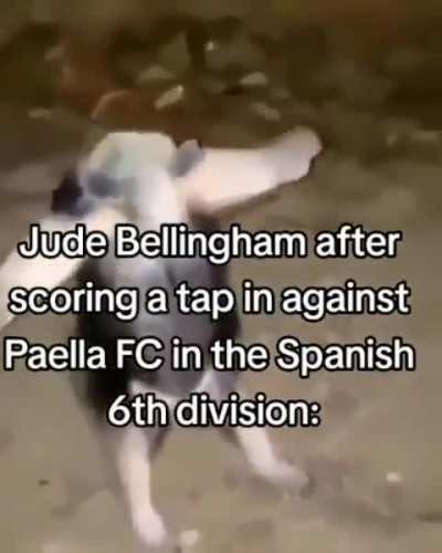 Bellingham 