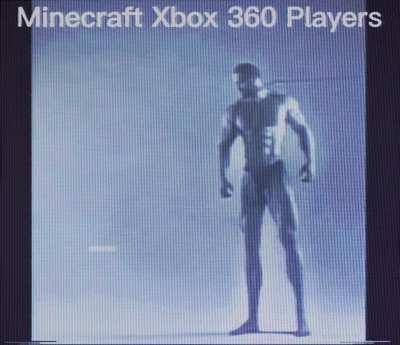 Imagine Hatting Minecraft