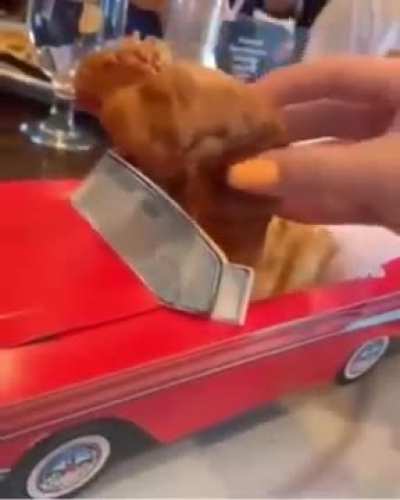 Chicken strip seatbelt PSA