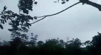 Cutting a tree with 3 other stupid kids on it