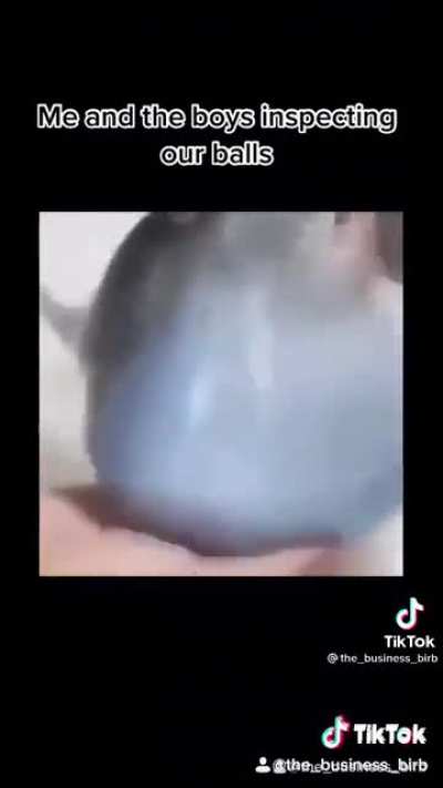 😳