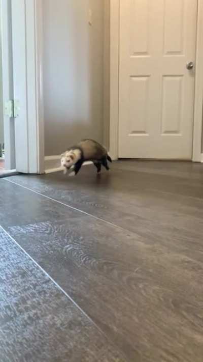 The slo mo escape to freedom run