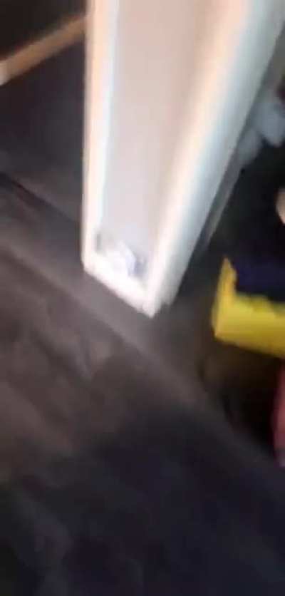 i scared my sister