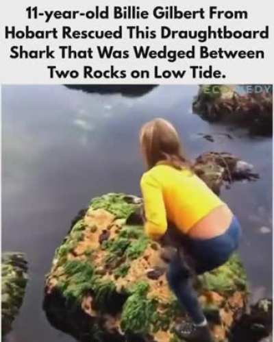 Amazing young girl saves fish