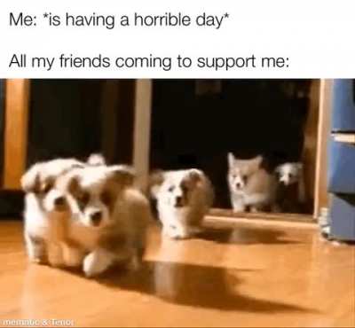 thanks guys
