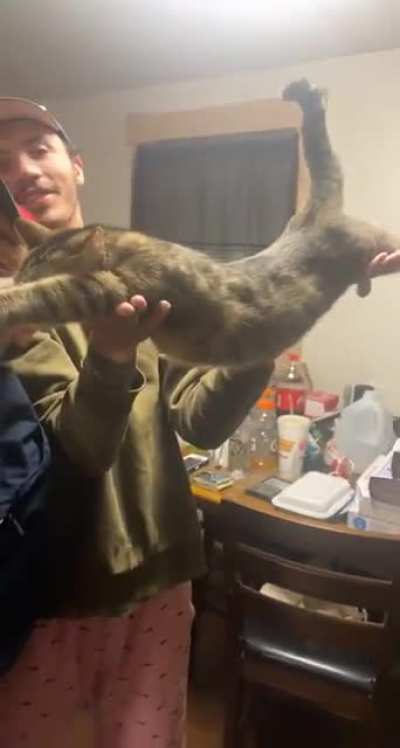 FelinE SupERVilLiAn aBOut to DEStroy hUmaNiTy.
